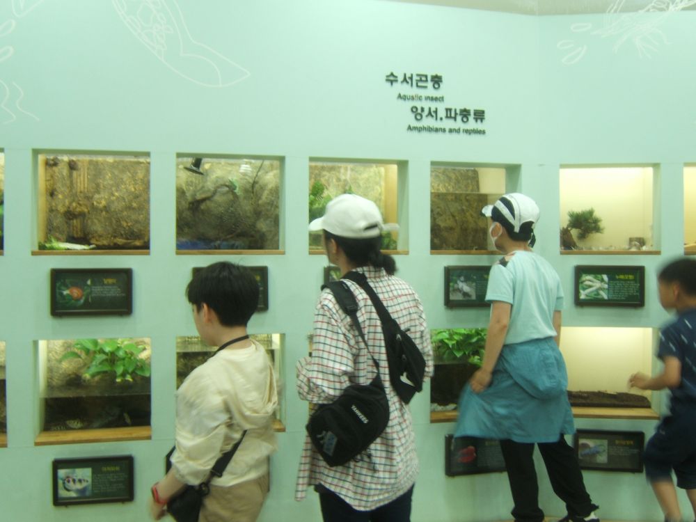 b6cab5791e2eae098bc09991bbfd452c_1716273902_13.jpg